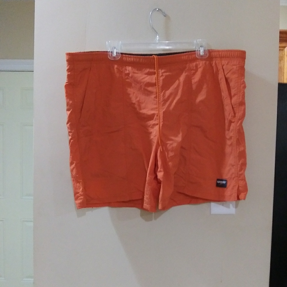 Men's L SPEEDO SWIM TRUNKS